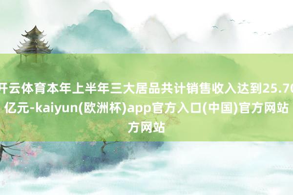 开云体育本年上半年三大居品共计销售收入达到25.70亿元-kaiyun(欧洲杯)app官方入口(中国)官方网站