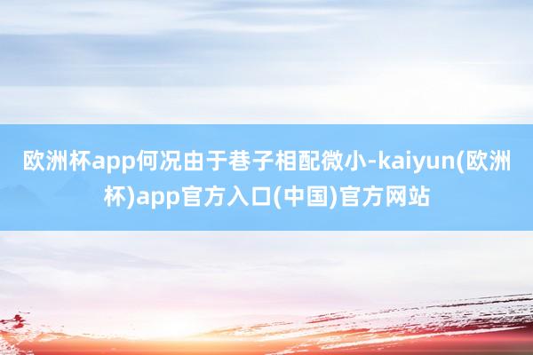 欧洲杯app何况由于巷子相配微小-kaiyun(欧洲杯)ap