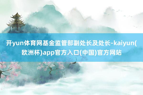 开yun体育网基金监管部副处长及处长-kaiyun(欧洲杯)app官方入口(中国)官方网站