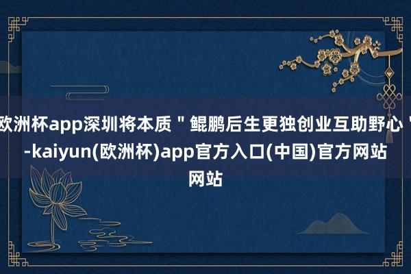欧洲杯app深圳将本质＂鲲鹏后生更独创业互助野心＂-kaiyun(欧洲杯)app官方入口(中国)官方网站