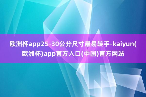 欧洲杯app25-30公分尺寸最易转手-kaiyun(欧洲杯