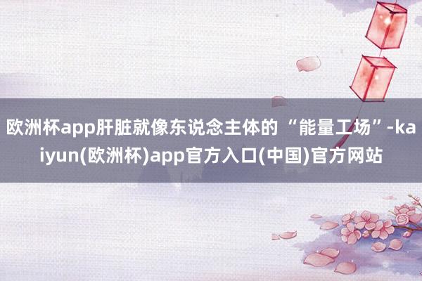 欧洲杯app肝脏就像东说念主体的 “能量工场”-kaiyun