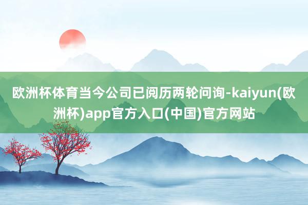 欧洲杯体育当今公司已阅历两轮问询-kaiyun(欧洲杯)app官方入口(中国)官方网站