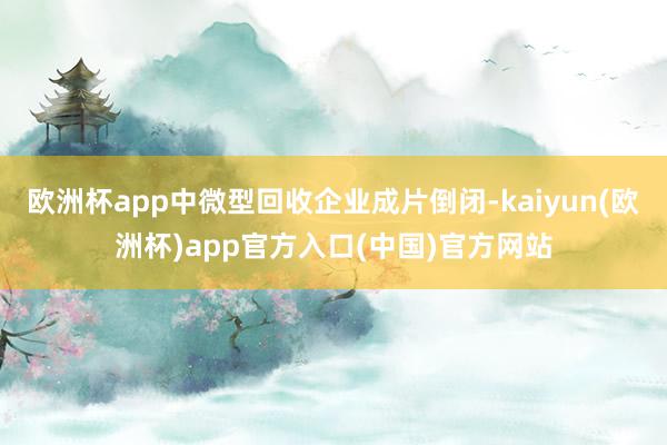 欧洲杯app中微型回收企业成片倒闭-kaiyun(欧洲杯)a