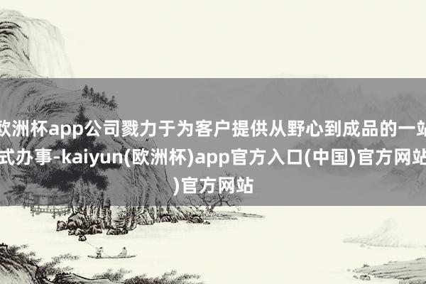 欧洲杯app公司戮力于为客户提供从野心到成品的一站式办事-k