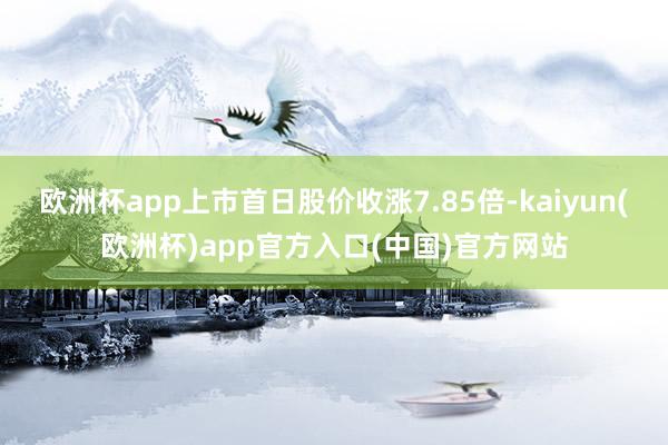 欧洲杯app上市首日股价收涨7.85倍-kaiyun(欧洲杯)app官方入口(中国)官方网站 欧洲杯app上市首日股价收涨7.85倍-kaiyun(欧洲杯