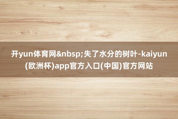 开yun体育网失了水分的树叶-kaiyun(欧洲杯)app官