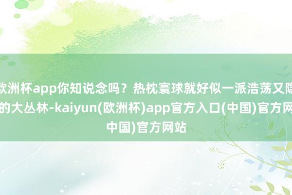 欧洲杯app你知说念吗？热枕寰球就好似一派浩荡又隐秘的大丛林