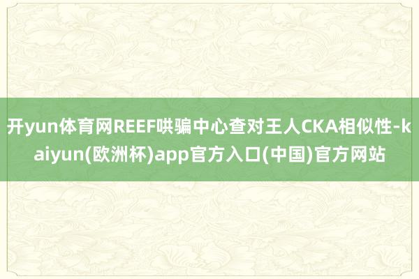 开yun体育网REEF哄骗中心查对王人CKA相似性-kaiy