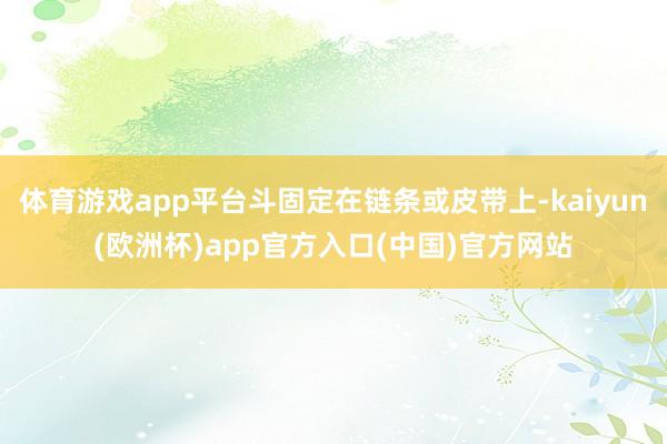 体育游戏app平台斗固定在链条或皮带上-kaiyun(欧洲杯