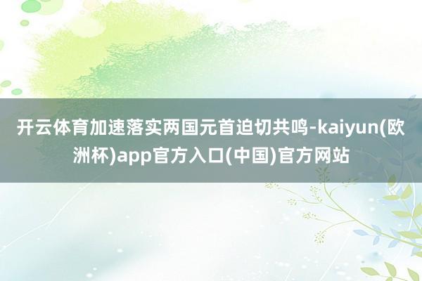 开云体育加速落实两国元首迫切共鸣-kaiyun(欧洲杯)ap