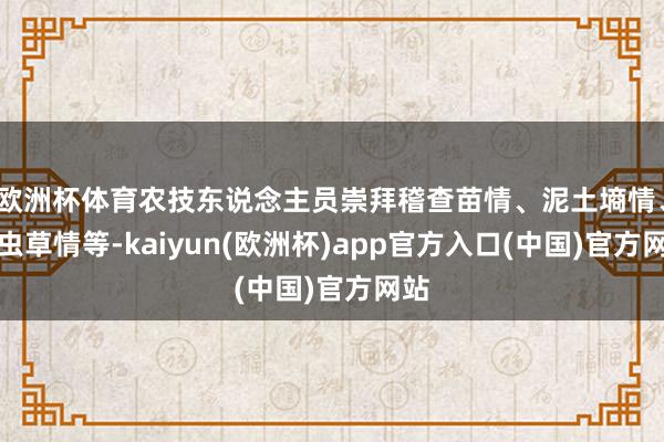 欧洲杯体育农技东说念主员崇拜稽查苗情、泥土墒情、病虫草情等-
