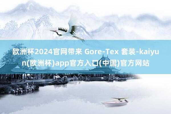 欧洲杯2024官网带来 Gore-Tex 套装-kaiyun