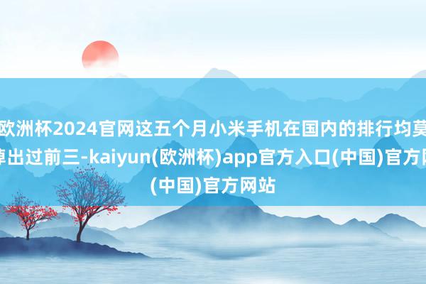 欧洲杯2024官网这五个月小米手机在国内的排行均莫得掉出过前