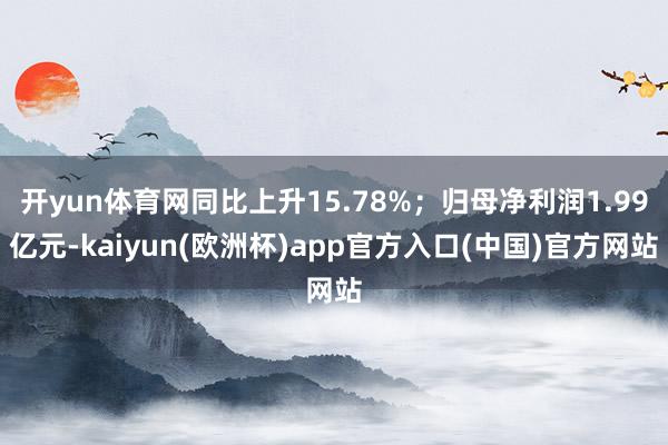 开yun体育网同比上升15.78%；归母净利润1.99亿元-