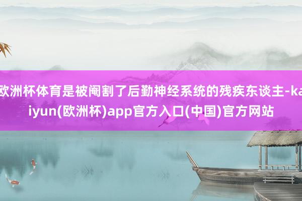 欧洲杯体育是被阉割了后勤神经系统的残疾东谈主-kaiyun(